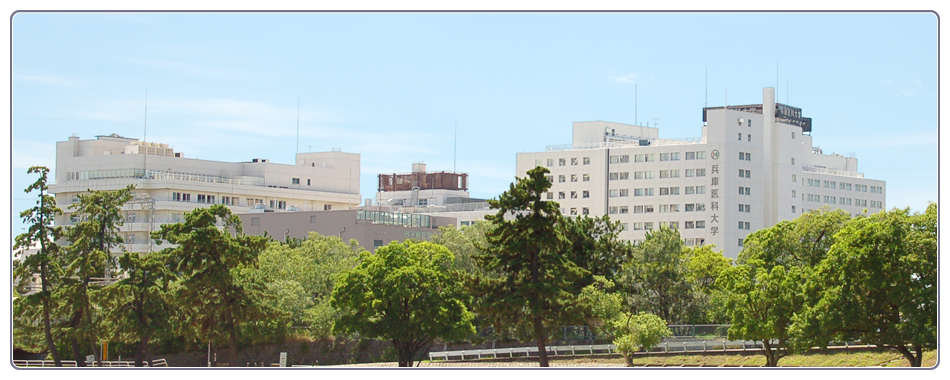 兵庫医科大学 全景
